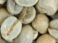 Light Roast Panama Coffee Beans - Celtic Cross Coffee